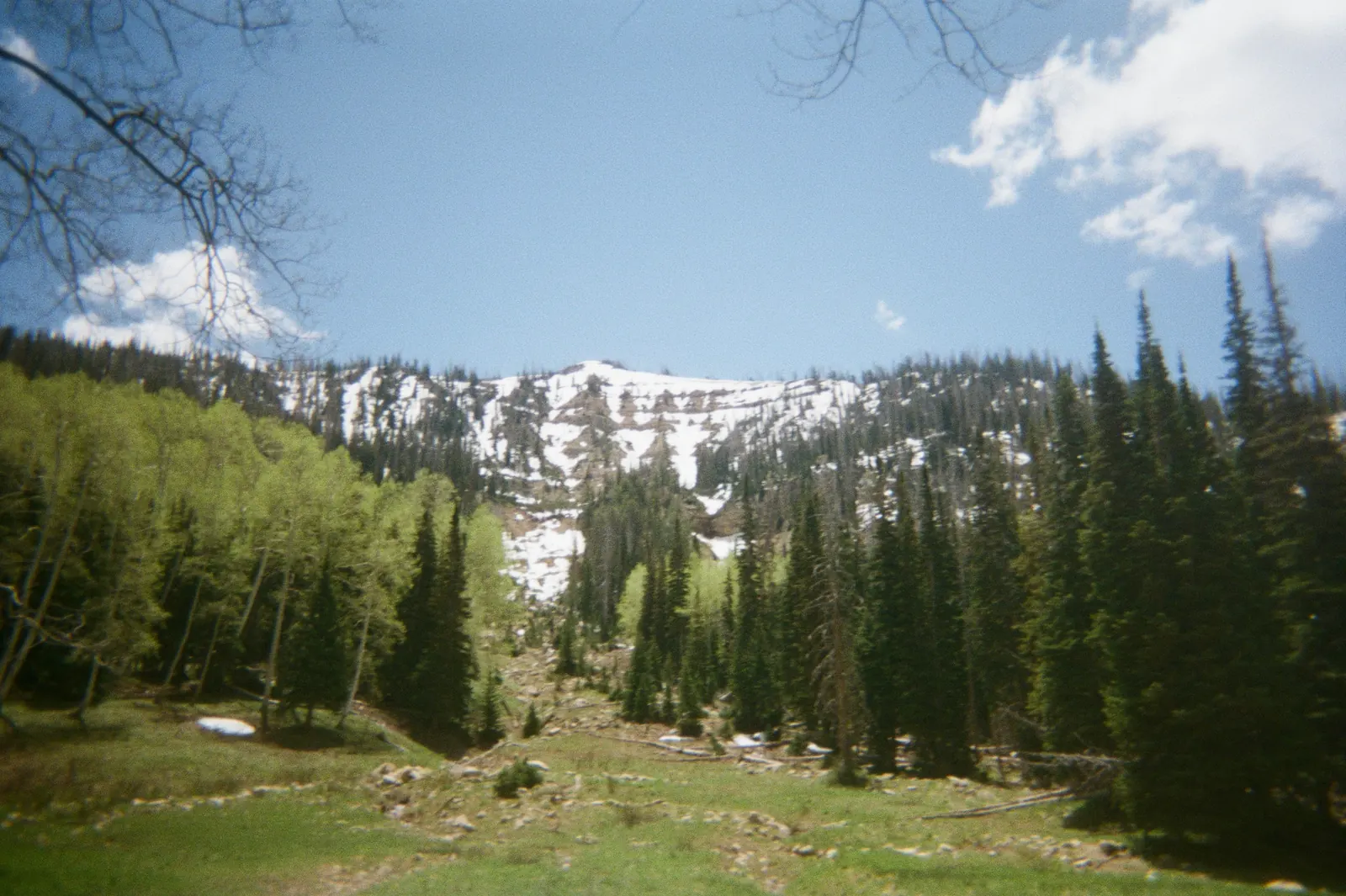 Green meadow below snowy cliffs